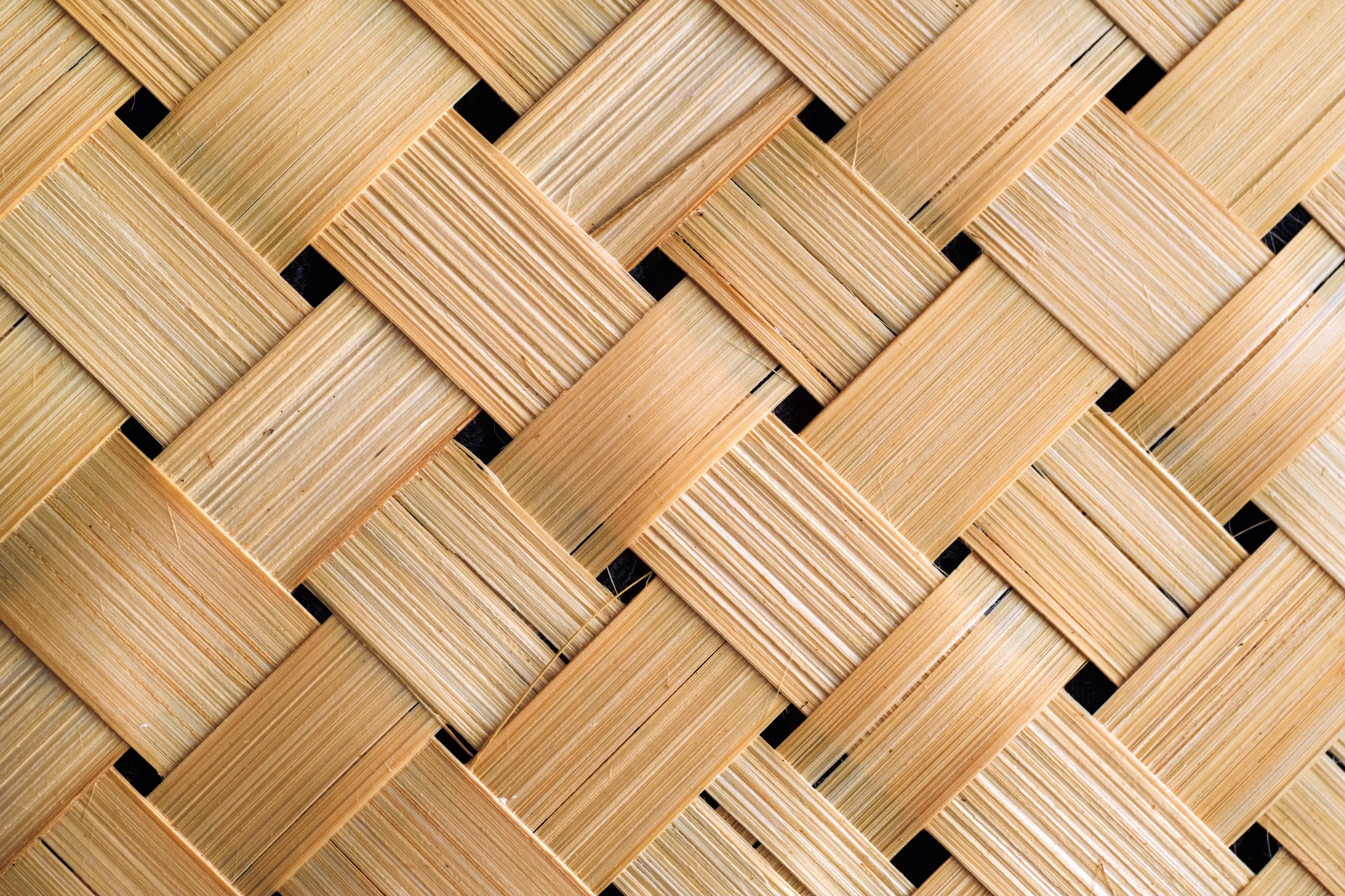 Bamboo Crafting
